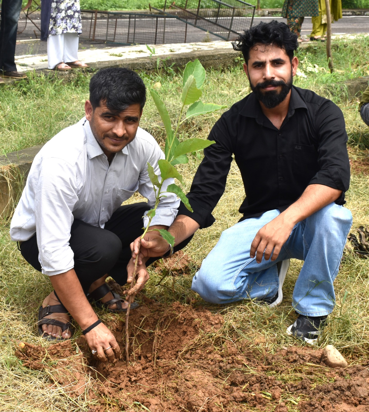 Plantation Drive